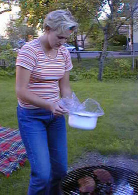 PIC00021.jpg (40913 bytes)